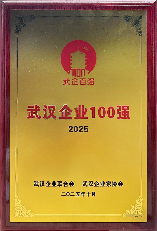 2025年武漢企業(yè)百強