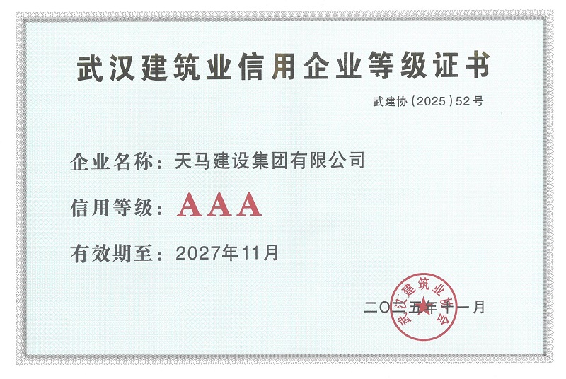 匠心鑄就卓越 奮進譜寫新篇——天馬建設再獲多項榮譽