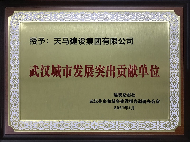 武漢城市發(fā)展突出貢獻單位